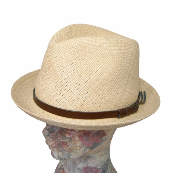 CAPPEST005101